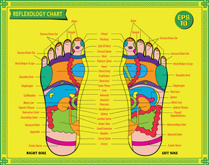 What is Ear Reflexology and Ear Seeding image 3